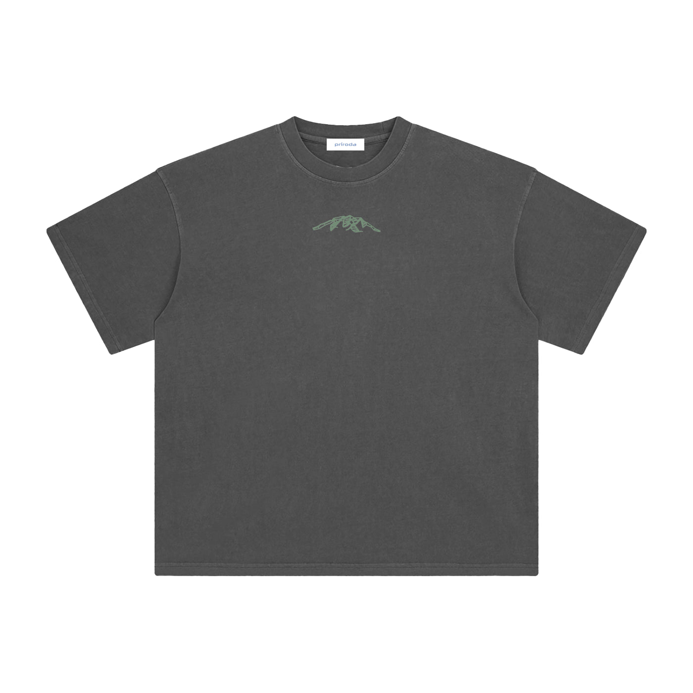 Oversized Flock of Birds T-Shirt